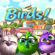 BirdsBsg screenshot